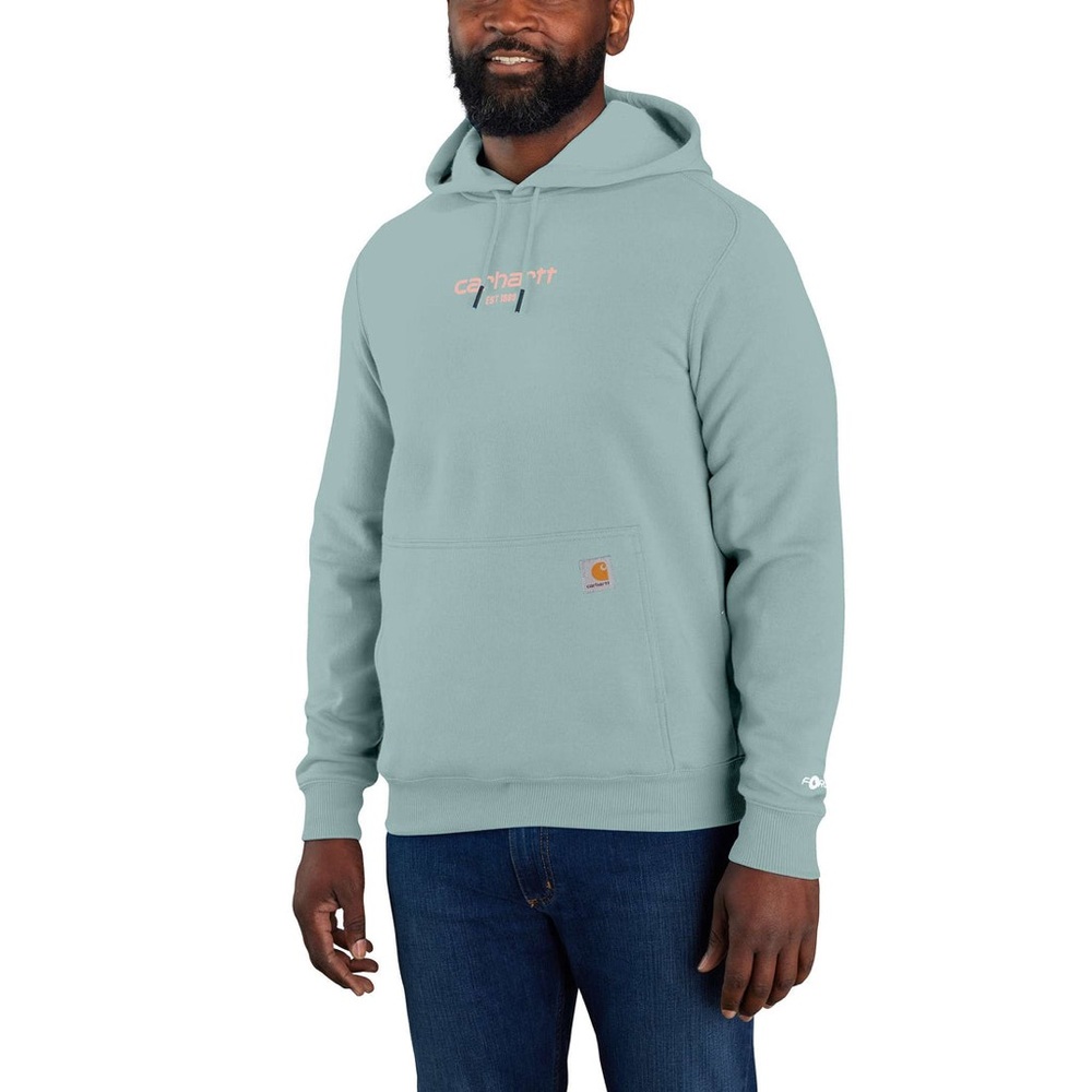 Carhartt FORCE RELAXED FIT LIGHTWEIGHT LOGO GRAPHIC SWEATSHIRT‎